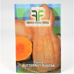 Semi Zucca Butternut