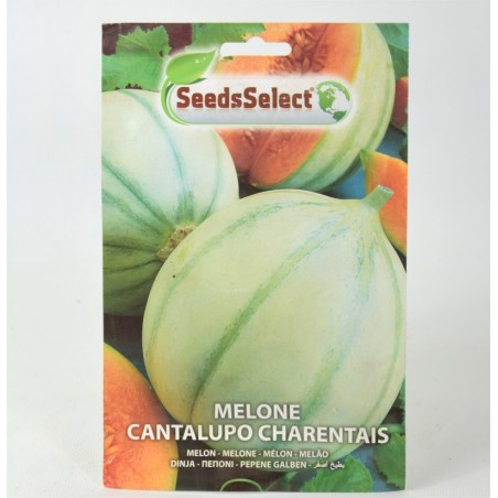 cantalupo charentais melon