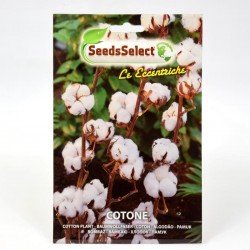 Cotton Plant Seeds