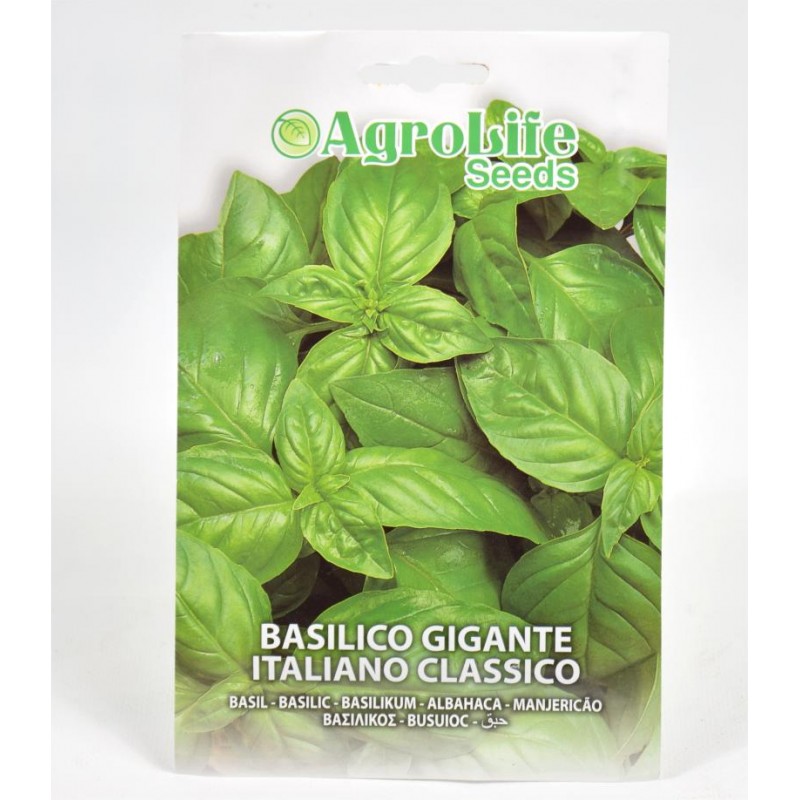 Classic Giant Basil Seeds