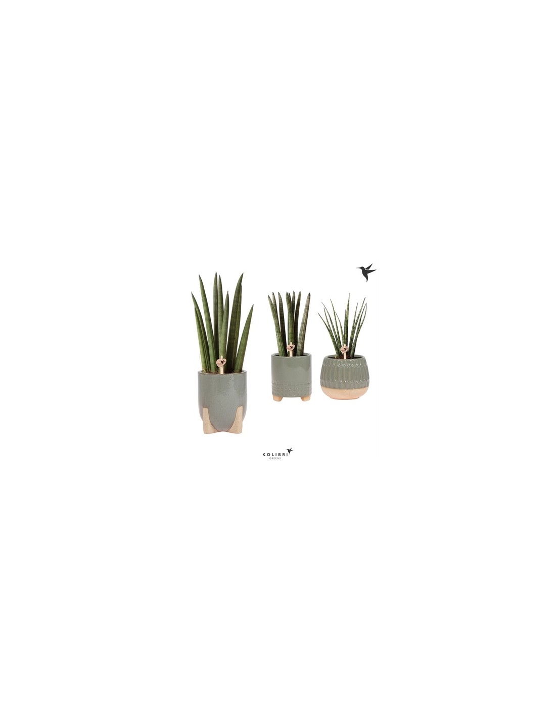 Pianta artificiale di sansevieria con vaso colore verde 90 cm Vida