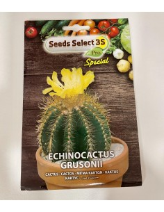 Semi di Echinocactus...