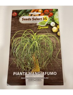 copy of Polignano Carrot Seeds
