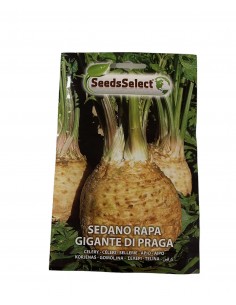 copy of Polignano Carrot Seeds