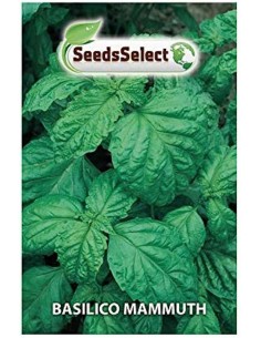 copy of Red Basil Seeds