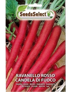 copy of National Radish Seeds