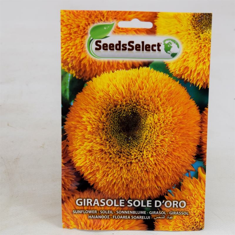 Sunflower Sun Gold Seeds for Sale-Seeds Online | Mondo Piante