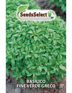 copy of Basil Lemon Seeds