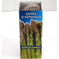 Asparagus Legs