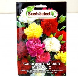 Red Chabaud Carnation Seeds