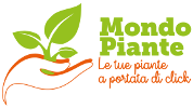 Vendita Online Piante Verdi | Mondo Piante